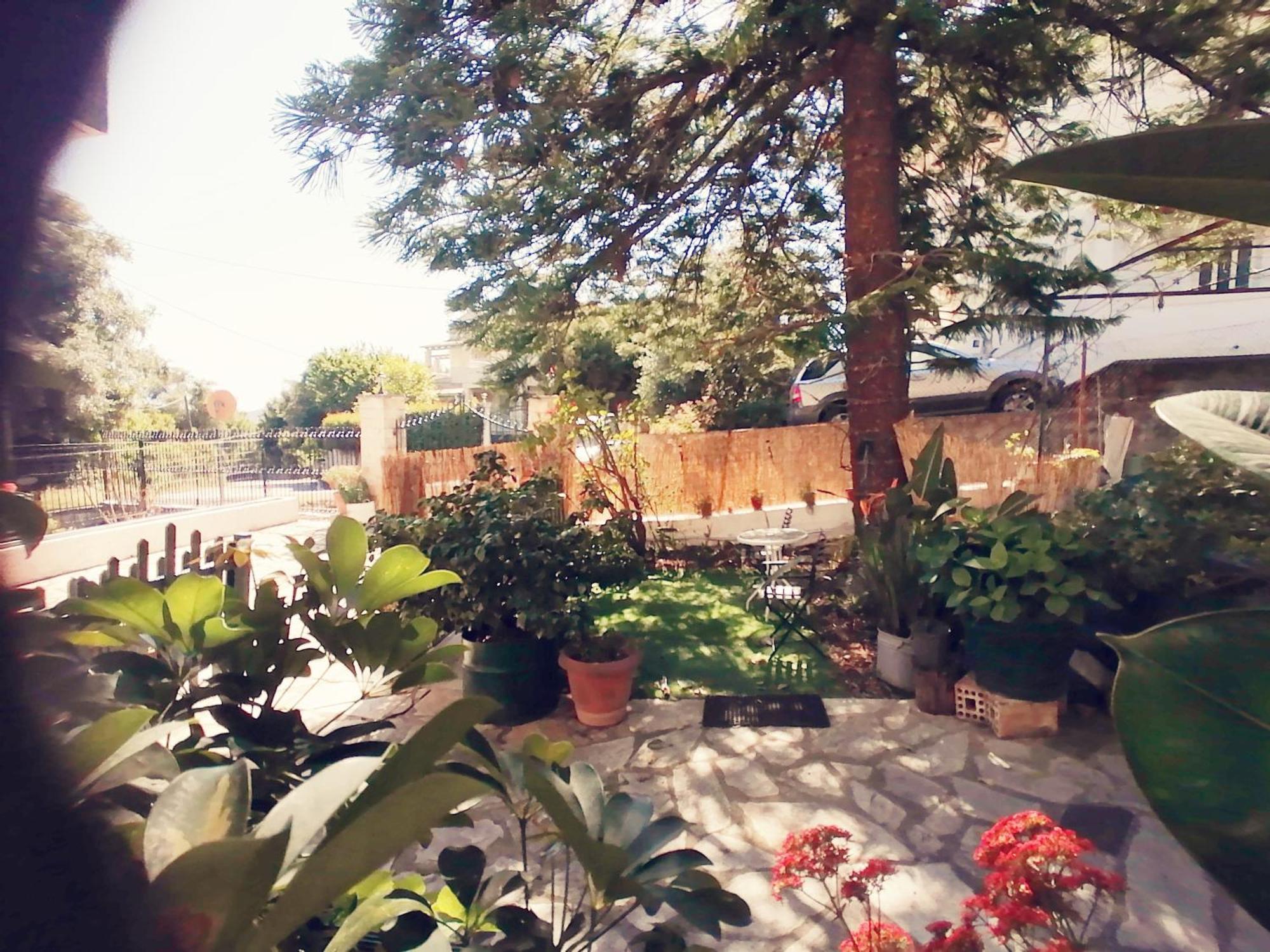 Olga'S Cozy Nest , Apartment In Ano Korakiana. Exterior foto